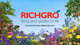 Richgro 2.5kg Lawn Beetle And Grub Killa