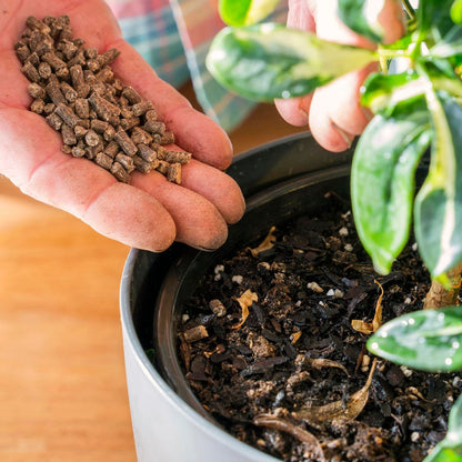 Charlie Carp All Purpose Fertiliser Pellets 5kg Odourless Slow Release