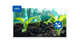 Coolaroo 1.83 x 6m Rainforest Garden Shade Cloth 50% UV Block Durable HDPE