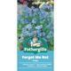 Mr Fothergill S Forget Me Not Seeds - Indigo Blue - 30cm - Easy Grow