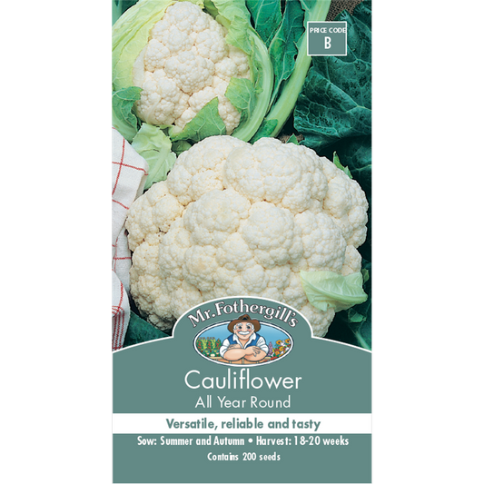 Mr Fothergill Cauliflower Seeds - 28 Days - Seed - Versatile Variety - Auzzistore