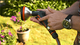 Gardena 13mm Trigger Gun Nozzle - Metal Plastic - Durable Ergonomic Grip