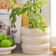 Borralheira Indoor Ceramic Pot - 180 x 155mm - Smooth Bone - Durable & Waterproof