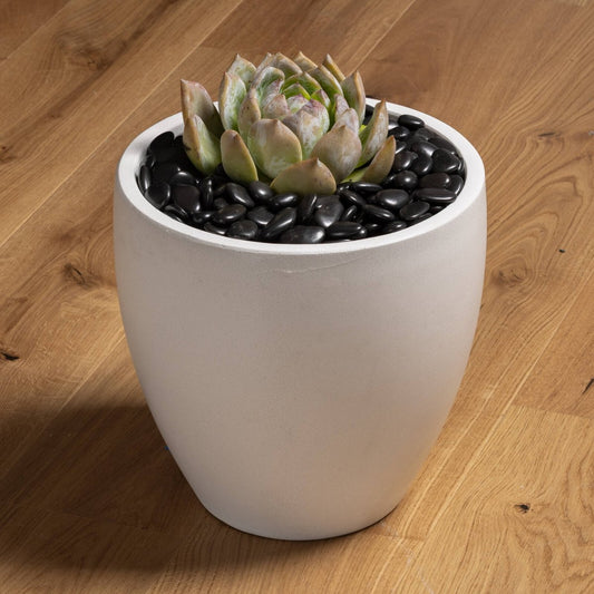Tuscan Path Decorative Black Pebble 2kg 15-20mm - Weed Control - Indoor/Outdoor – view 2 - Auzzistore