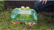 Seasol Lawn Fertiliser - 2 x 2L Liquid - Stimulates Growth - Australian Made