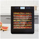 Devanti 10 Tray Food Dehydrator – view 3