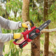 Ozito Cordless Chainsaw Kit - 250mm - Metal - Safety Chain Brake