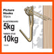 Everhang 10kg Brass Plated Picture Hanging Hook 50 Pack Durable Use