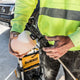 DeWALT 2 x 18V XR Pressure Washer Skin Only - Cordless - 1600 PSI - 6m Hose