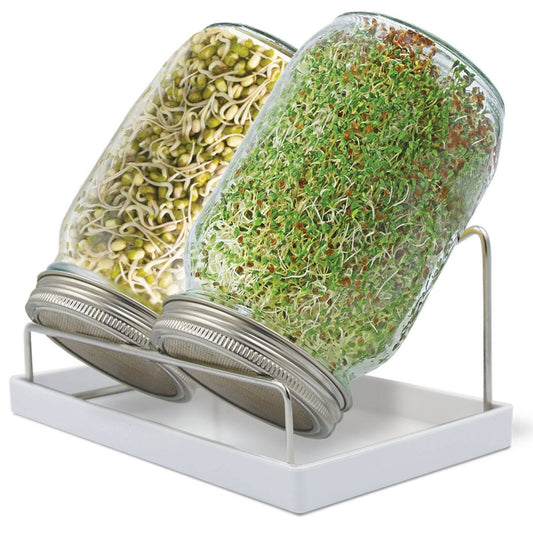 Mr Fothergill S Twin Sprouter Jar Grow Kit - 210mm x 200mm x 125mm - Compact Design - Includes Alfalfa & Mung Bean Seeds – view 2 - Auzzistore