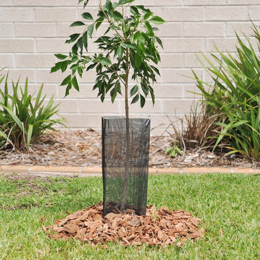 Jack Black Plastic Tree Tube 400 x 144mm 3 Pack Breathable Durable – view 2 - Auzzistore