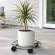 Eden Pot Plant Trolley - 30cm - Metal - Heavy Duty