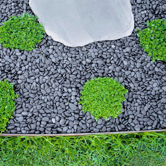 Tuscan Path Black Natural Pebbles 15-20mm 5kg for Landscaping – view 2 - Auzzistore