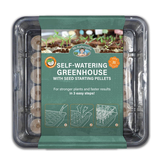 Mr Fothergill S 35 Cell Self Watering Coco Fibre Propagation Greenhouse - 600mm x 200mm x 400mm - Green - Promotes Healthy Root Development - Auzzistore