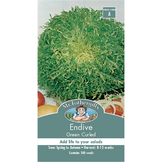Mr Fothergill Endive Vegetable Seeds - 75mm Green - Crisp Salad Benefit - Auzzistore