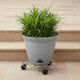 Eden 30cm Round Pot Plant Trolley - Black - Easy Mobility - Durable