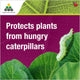 Ocp Eco Caterpillar Killer - 40g Powder - Organic Insecticide for Gardens