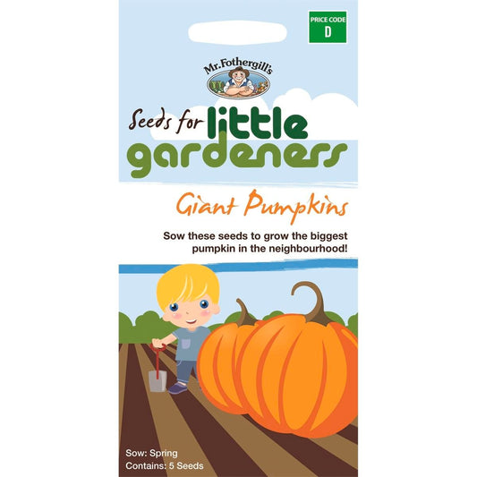 Mr Fothergill Giant Pumpkins Seeds 15 Weeks Easy Grow Family Fun - Auzzistore