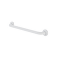Caroma 300mm Chrome Grab Rail 450mm White Stainless Steel Support
