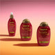 Ogx Frizz Free + Keratin Smoothing Oil Shampoo 385mL - 5 in 1 Benefits for Frizzy Hair – view 9