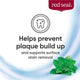 Red Seal Strong Mint Toothpaste - 100g – view 9 - Auzzistore