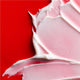 Colgate Optic White Pro Series Stain Prevention Toothpaste 80g - Reveal Your Radiant Smile – view 10