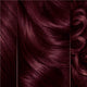 Clairol Natural Instincts Bold Deep Burgundy Permanent Hair Colour 180g – view 3