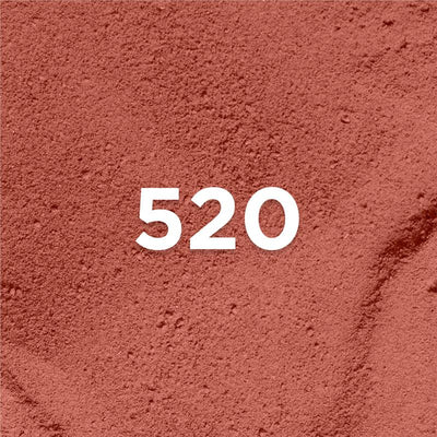 L'Oreal Paris Color Riche Volume Matte Nudes of Worth Lipstick 520 Le Nude Defiant