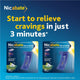 Nicabate Mini Lozenges 2mg - 60 Pack for Effective Craving Relief – view 2 - Auzzistore