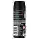 LYNX Emerald Sage Premium Body Spray for Men, 150ml, 72h Freshness – view 2