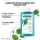 Klorane Scalp Detox Shampoo with Aquatic Mint 400ml - Natural Cleansing Formula – view 2