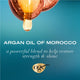 OGX Extra Strength Hydrate & Repair + Argan Oil of Morocco Shampoo 385ml – view 2 - Auzzistore