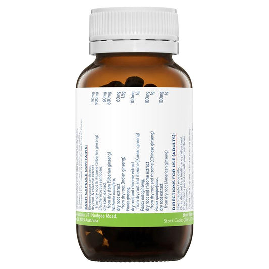 Ethical Nutrients Ginseng 5 Exhaustion Relief Capsules – 60 Count – view 2