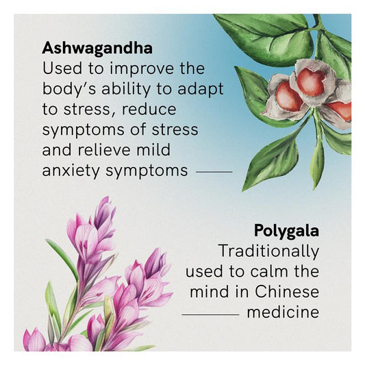 Fusion Stress & Anxiety Support – Ashwagandha KSM-66®, 60 Tablets – view 2