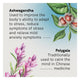 Fusion Stress & Anxiety Support – Ashwagandha KSM-66®, 60 Tablets – view 2