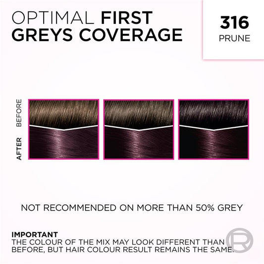 L'Oreal Paris Casting Creme Gloss - 316 Plum (Ammonia Free) - 1 Unit-Auzzi Store
