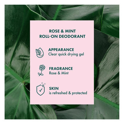 Akin Rose & Mint Natural Roll-On Deodorant 65ml