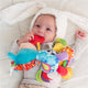 Playgro Activity Friend Clip Clop - Engaging Toy for Infants – view 3 - Auzzistore