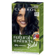 Clairol Natural Instincts Bold Blue Black Permanent Hair Colour - 180g – view 4