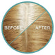 L'Oreal Paris Magic Retouch Temporary Root Concealer Spray - Blonde (Instant Grey Hair Coverage) – view 3 - Auzzistore
