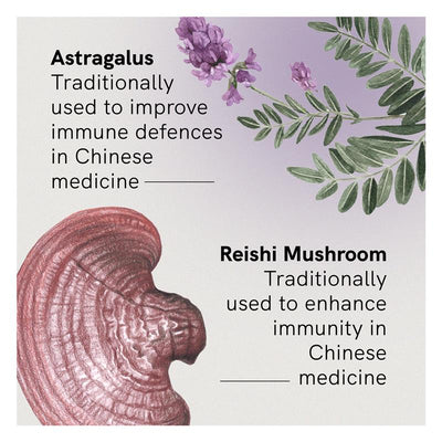 Fusion Astra Immune Support Tablets with Astragalus & Reishi – 60