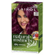 Clairol Natural Instincts Bold Fuchsia Permanent Hair Colour - 180g – view 4
