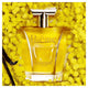 Lancome Poeme Eau de Parfum 100ml – view 3 - Auzzistore