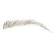 Revlon Colorstay Micro Brow Pencil Soft Brown – view 4