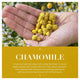 Herbal Essences Classics Chamomile Conditioner 400ml – view 3