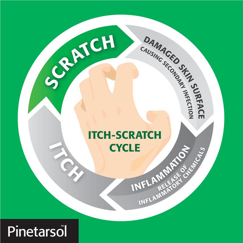 Pinetarsol Cleansing Bath Oil 500ml with Pine Tar for Itch Relief & Moisture