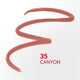 Covergirl Outlast Lipstain #35 Canyon – view 4