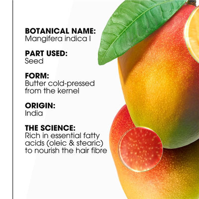 Klorane Conditioner With Mango 50ml - Nourish and Detangle Dry Hair