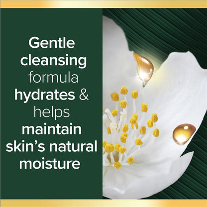 Palmolive Luminous Byron Bay Rosewood & Jasmine Body Wash 750ml