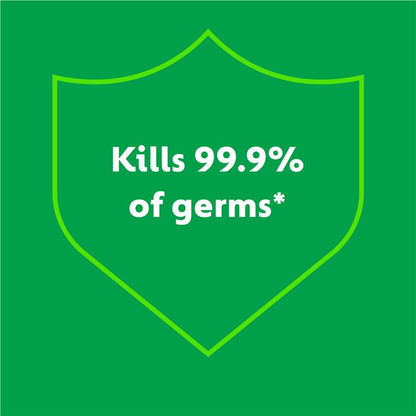 Dettol Kids The Wiggles Colour Foaming Hand Wash Aloe Vera 250ml